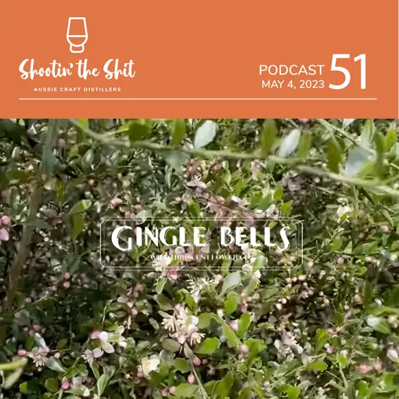 Gingle Bells / Wild Hibiscus - Ep 51